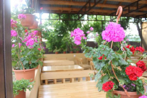 Отель Guest house Black Sea  Alakhadzi